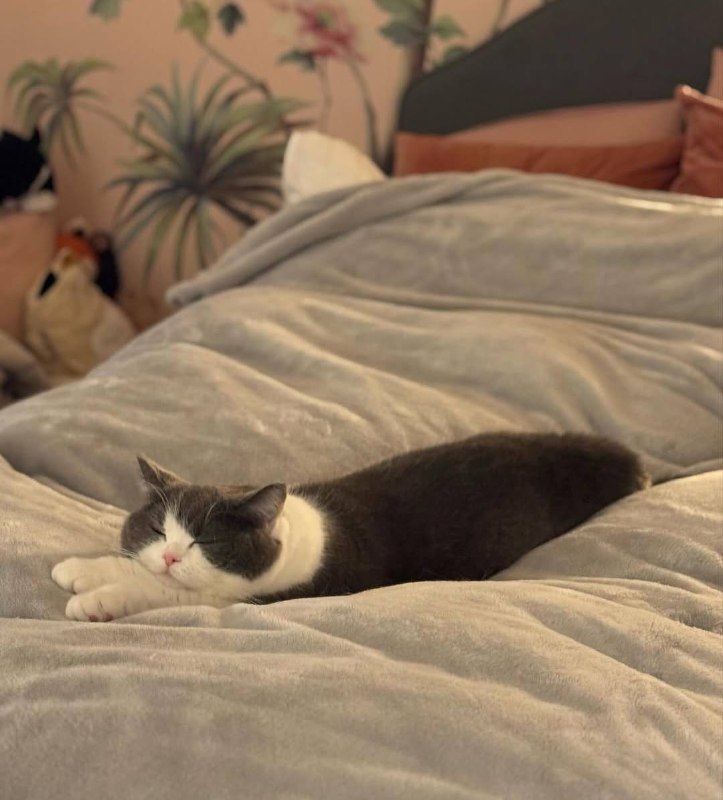 Спотб изо всех сил :3