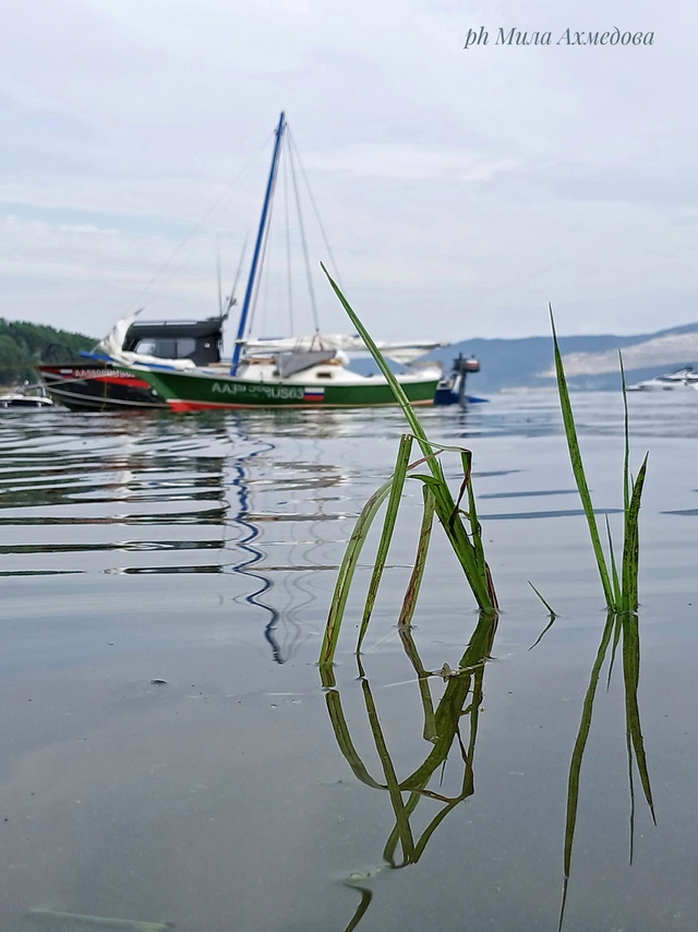 о. Фестивальный. Самарская обл. р. Волга.🏖⛵️🚤