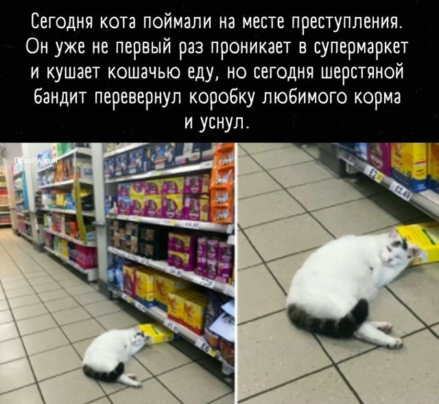 Когда переел и что-то пошло не по плану)