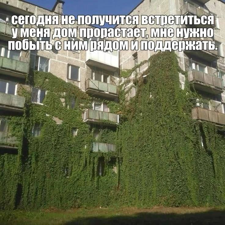 Утренняя подборочка