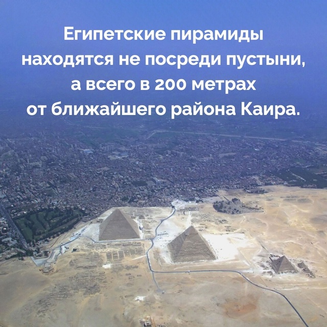 Подборка фактов.