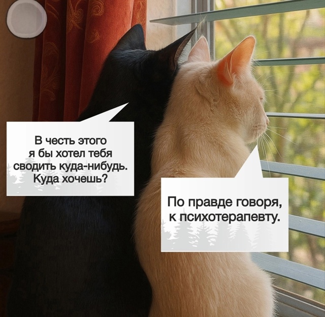 Лучший подарок