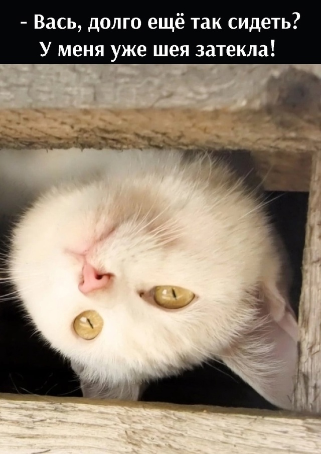 =»»