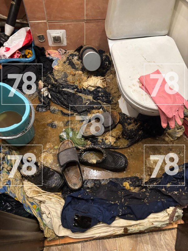 Осторожно фото с запахом. Питерскую квартиру залило отходами всего подъезда из-за наполнителя из кош