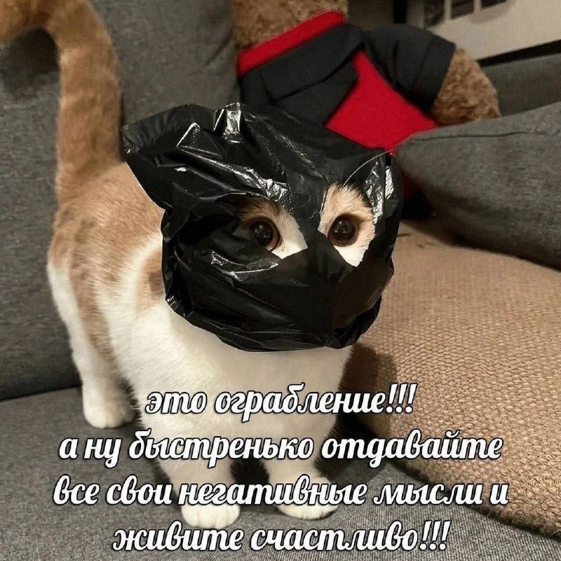 Утренняя подборочка