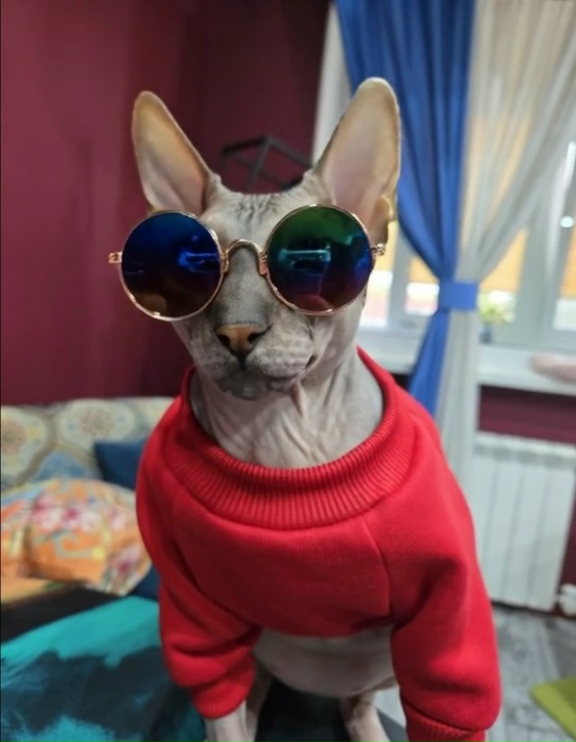 Его величество Мефистофель