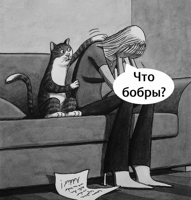 С котом сложно поспорить?