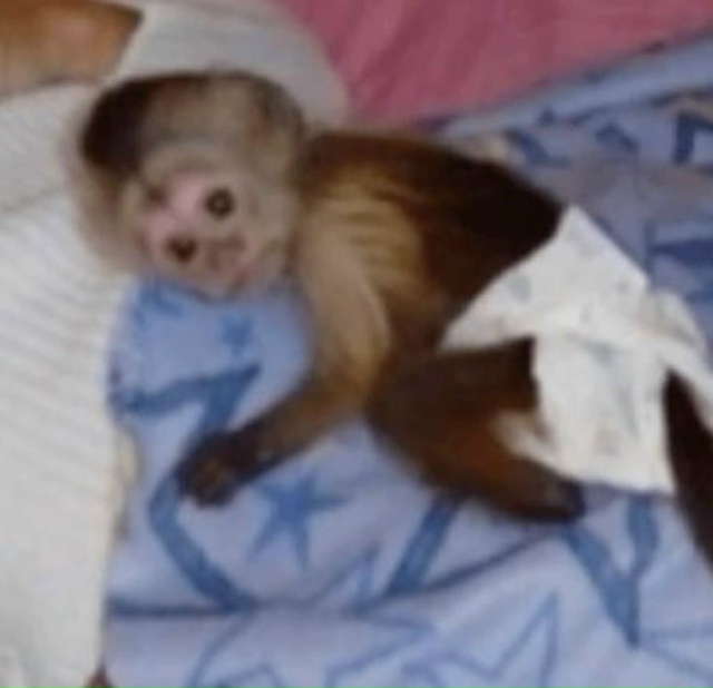 Ограничить доступ