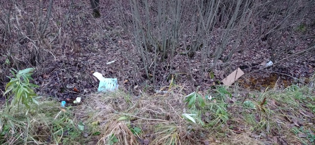 Добрый день всем!
Ну неужели не стыдно бросать мусор к ...