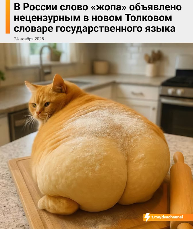 ⚡️Жопа в России В С Ё
Слово официально признано нецензурным в новом Толковом словаре государственно