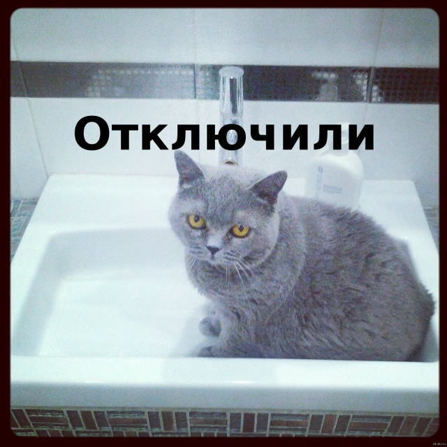 📌Сохраняйте!
С 14 ноября 2025 с 22:00 до 06:00 часов 15 ноября 20...