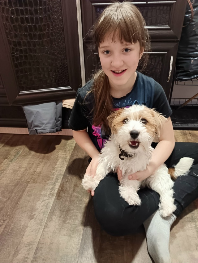 Овечик чей в гости пришел? Забираем мама-папа 🤣 🐏