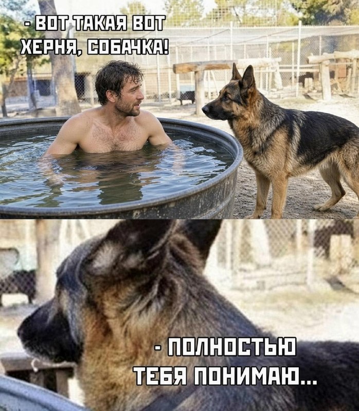 Всего 5 минут наедине с собакой полностью снимают стресс, выяснили учёные.
Лучше всего работают объ