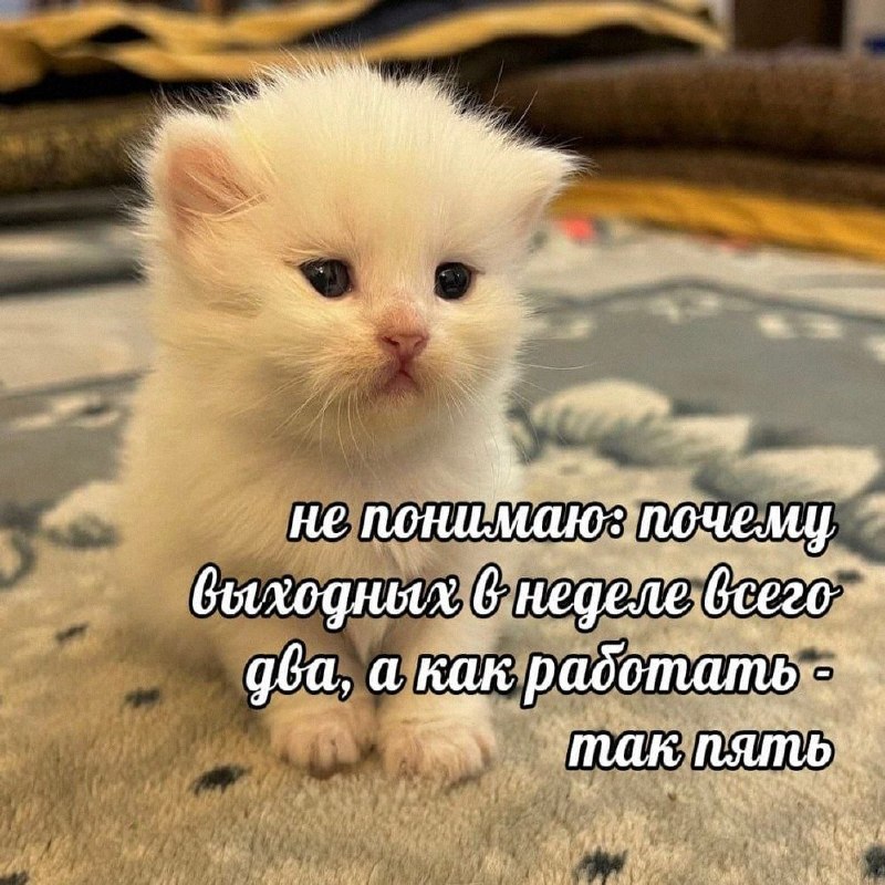 Утренняя подборочка