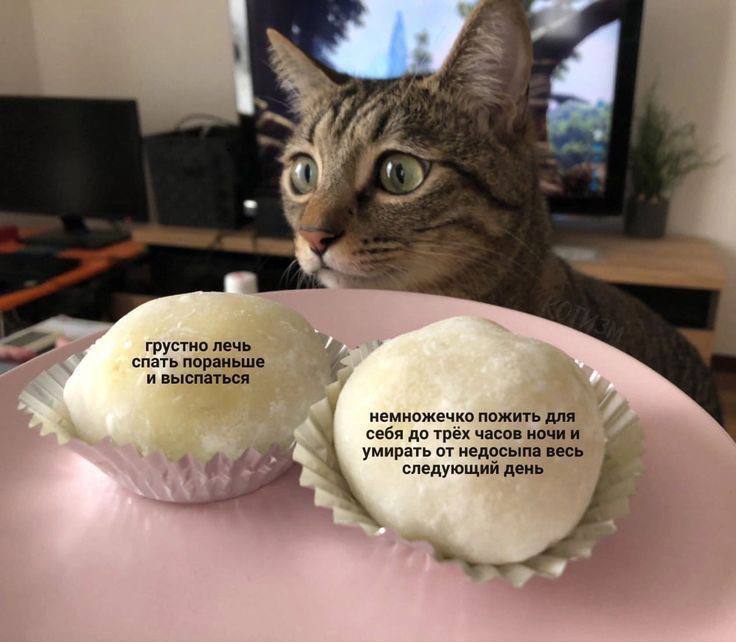 тяжелый выбор