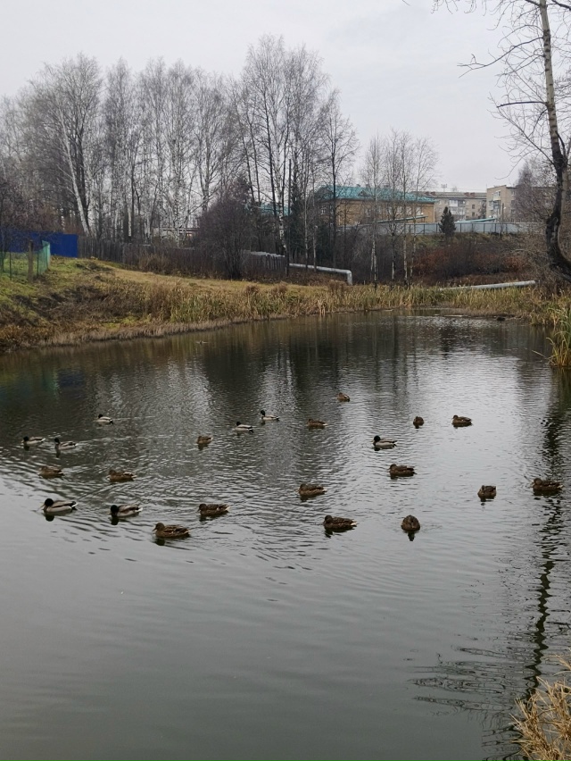 Семейство на капидоновском...
