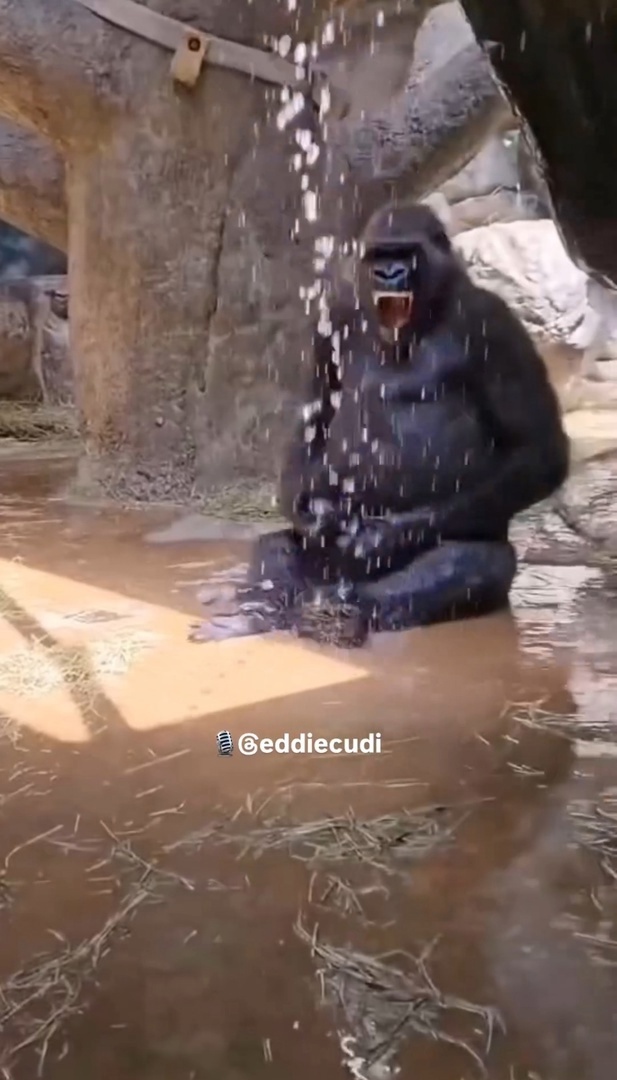 когда дали воду после отключения