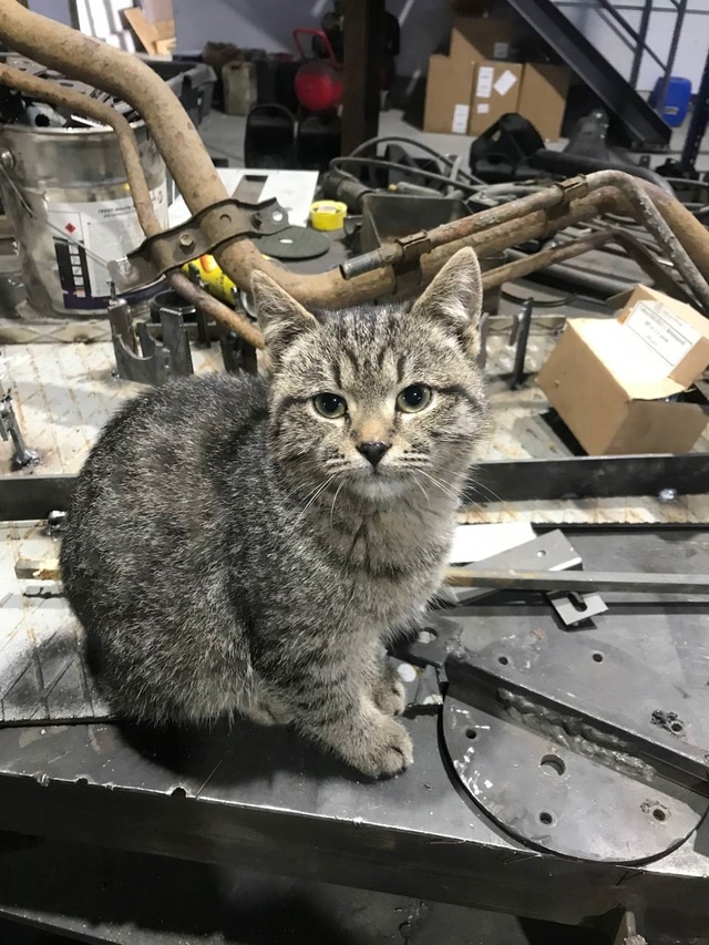 Прошу к знакомству. Виктор Сергеевич - оператор автома?...