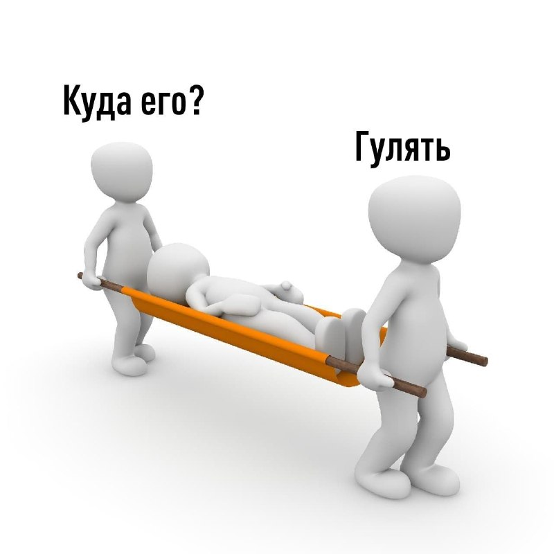 Прогулки — лучшее бесплатное лекарство от всего.
Учёные подтверждают: обычная ходьба бьёт по эффект