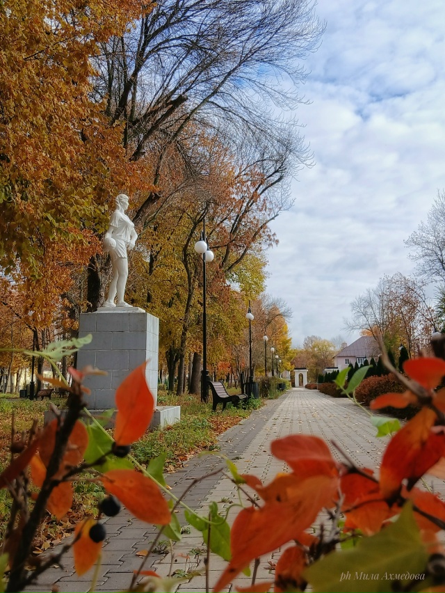 Больничный осенний октябрьский парк.
Отражение дер...