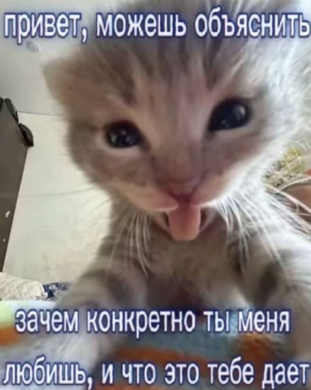 Утренняя подборочка