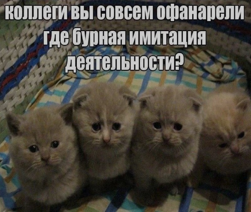 Ночная подборочка
Выходные, не спим