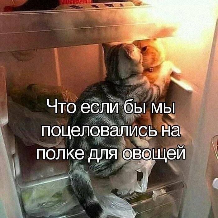 Утренняя подборочка