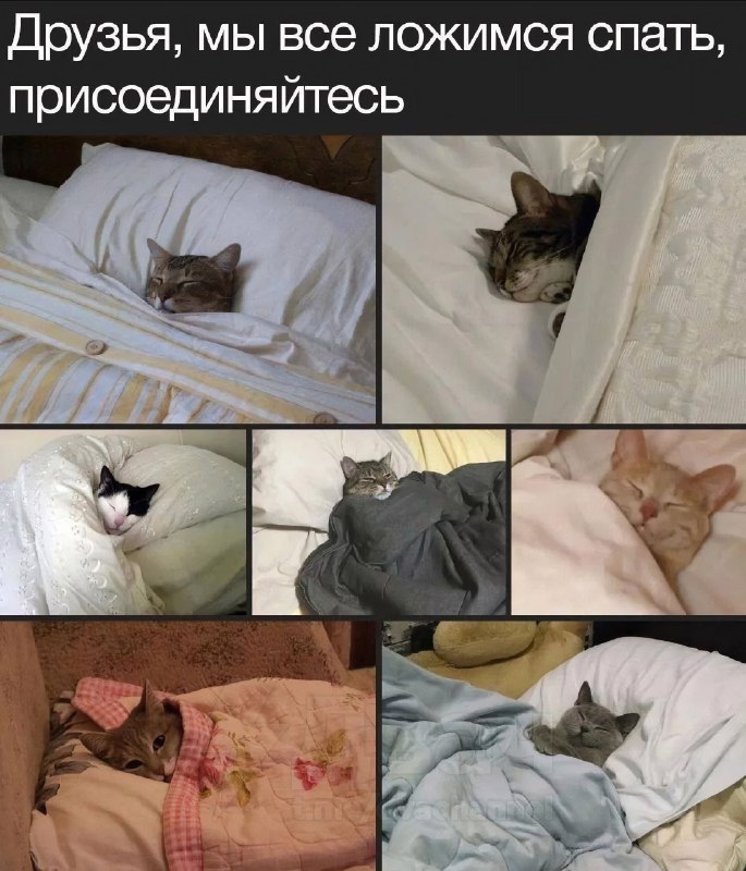 Спать, режим