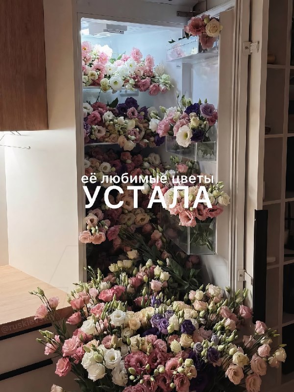 В интернете показали цветы, которые точно понравятся твоей тянке
Отправь ей, чтобы порадовать её