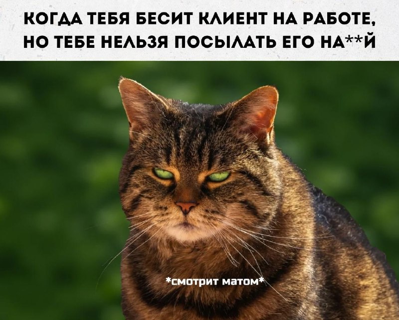 Мат помогает работать эффективнее, когда нужна максимальная отдача.
В эксперименте с 300 участника