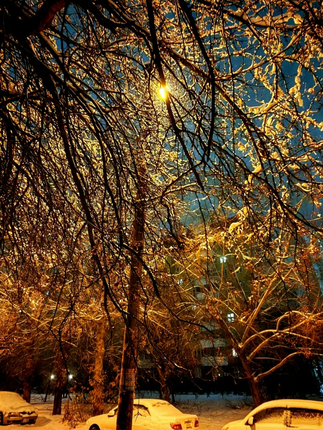 Κaдpы cнeжнoгo Ηoвocибиpcкa oт нaшeгo пoдпиcчикa ☃️