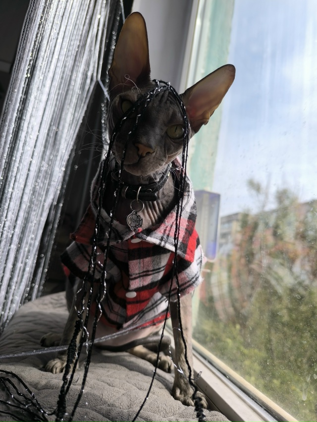 Мам,я красивый?