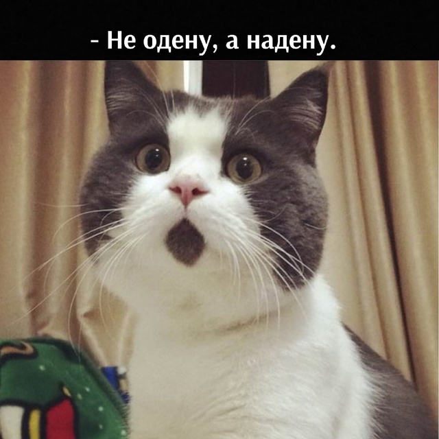 =»»