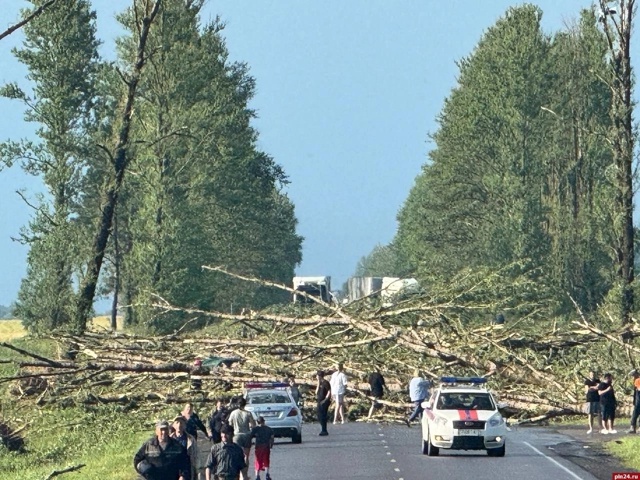 Последствия шторма в Псковской и Витебской областях
Ф...