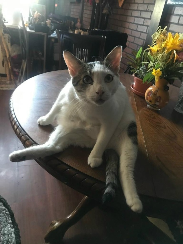 Батон выскользнул из под контроля Мути(Баламути))