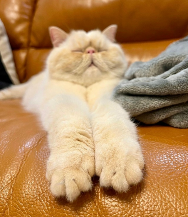 Нашли вам немного покоя, оставьте его при себе на всяки...