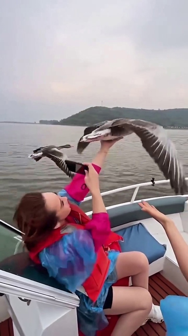 Вы когда НИБУДЬ мечтали ПОЛЕТАТЬ в стае с утками 🦆👍