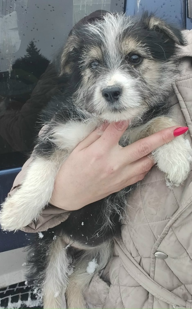 Две очаровательные девочки ждут свою семью.
Устали от ?...