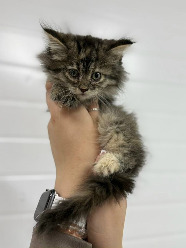 Посмотрите на этих маленьких крошек, загляните в эти п?...