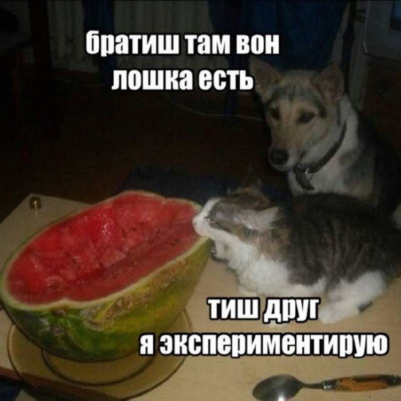 Утренняя подборочка