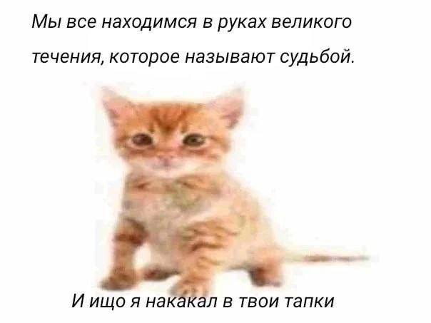 Утренняя подборочка