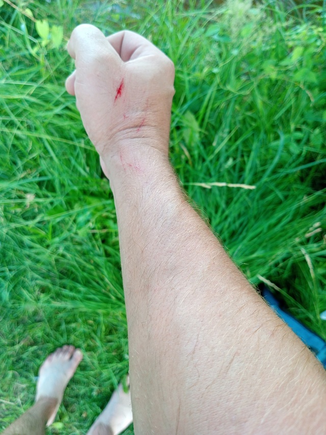 Так называемый 