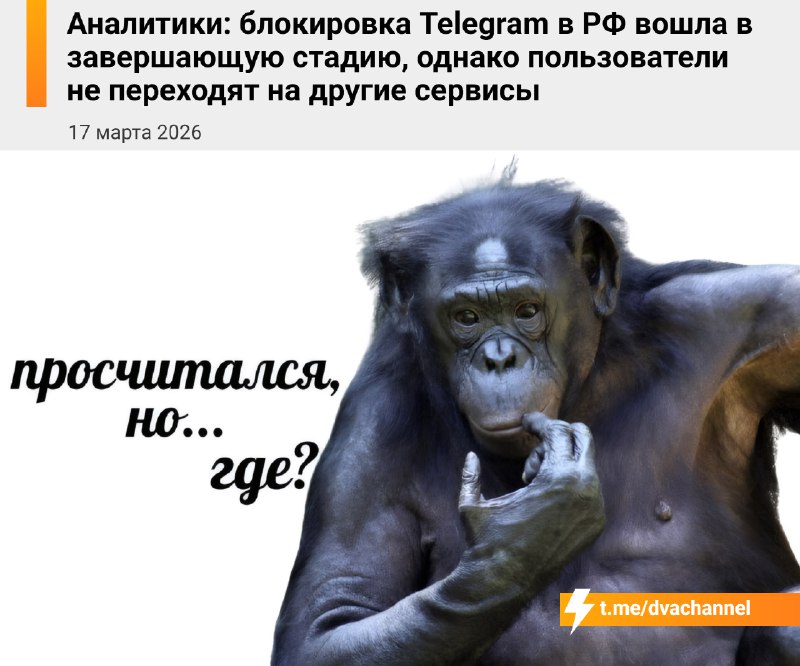 Наберите воздуха: блокировка телеги в России перешла в финальную стадию, юзать мессенджер без VPN уж