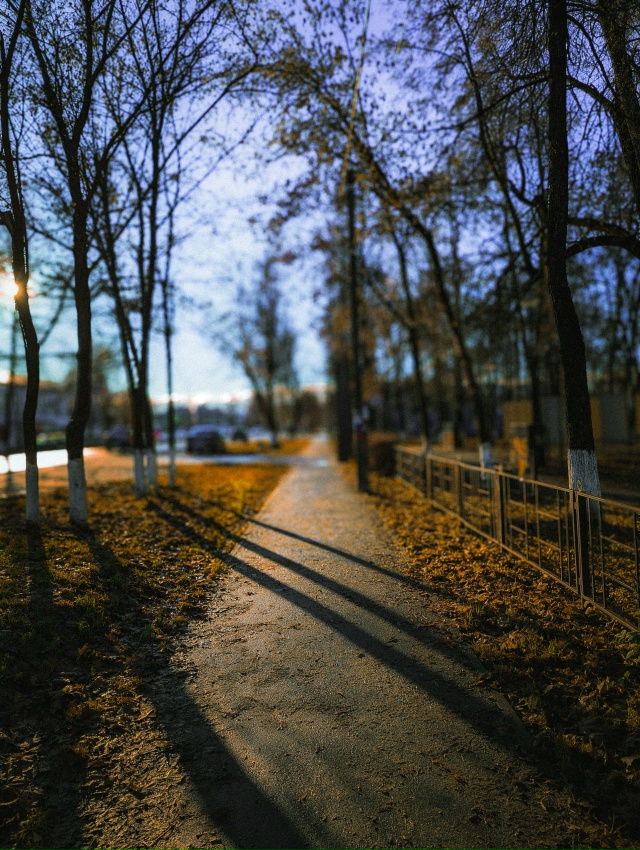 Ноябрь не спешит. Снято на мобильник.