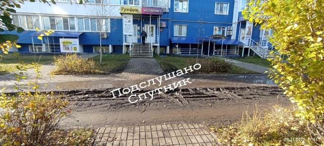 Светлая 9 напротив WB,