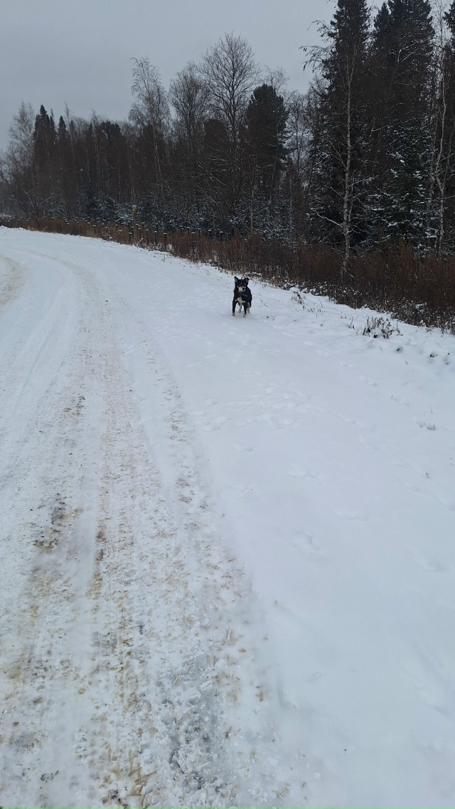 На днях ехали с семьёй в г.Красноярск . Как всегда остан...