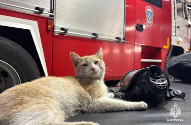 😍Новый сотрудник в МЧС Башкортостан.
Три недели наза...