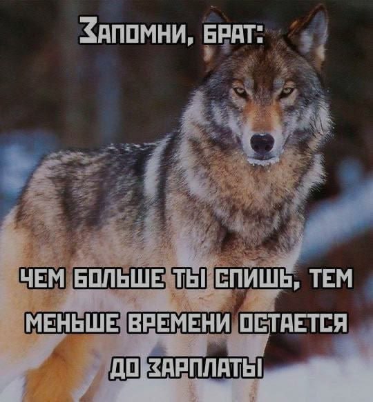 Ночная подборочка
Спать, режим
