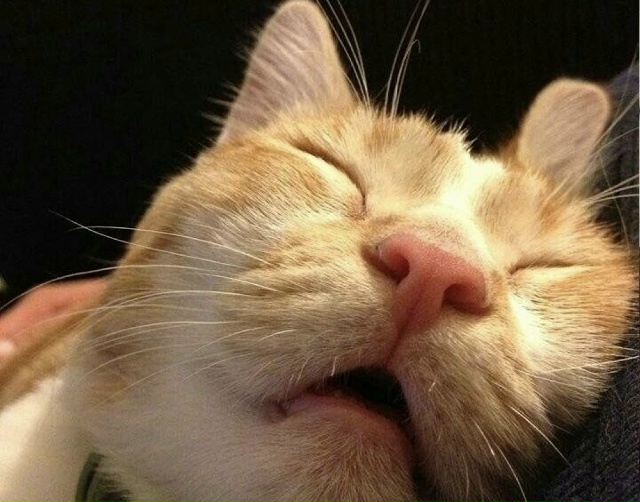 Взрослым людям необходимо от 7 до 9 часов полноценного ?...