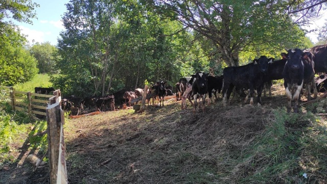 ❗После вмешательства администрации Верховажского ок?...